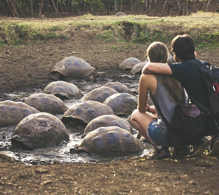 Couple admiring the beauty of the Giant Tortoise sanctuary in Galapagos