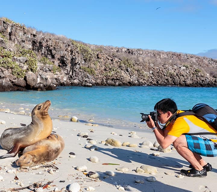 Guests taking upclose photo of Galapagos sea lions