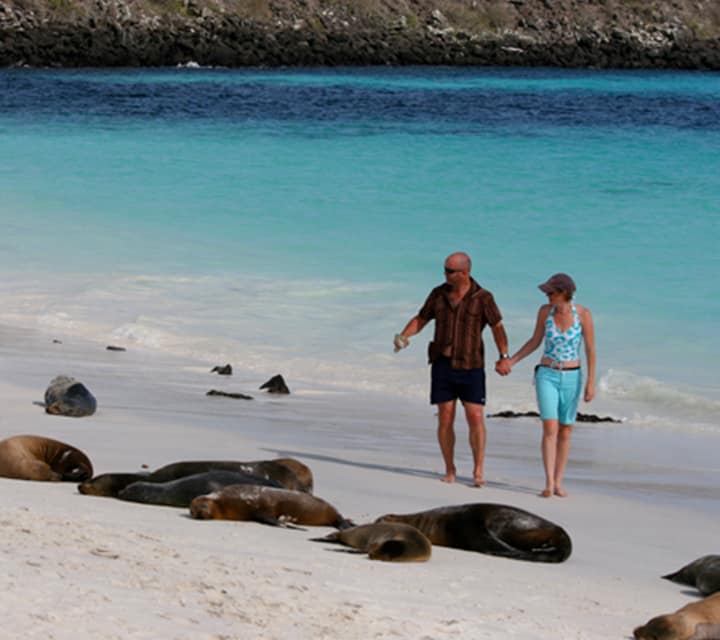 Ecuador's prized possession, Galapagos Islands