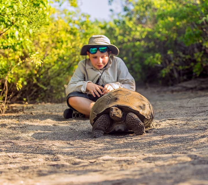 Kid observing Galapagos Tortoise in the Galapagos