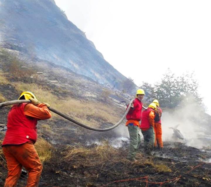 Chilean Firefighters putting out Torres del Paine National Park fire