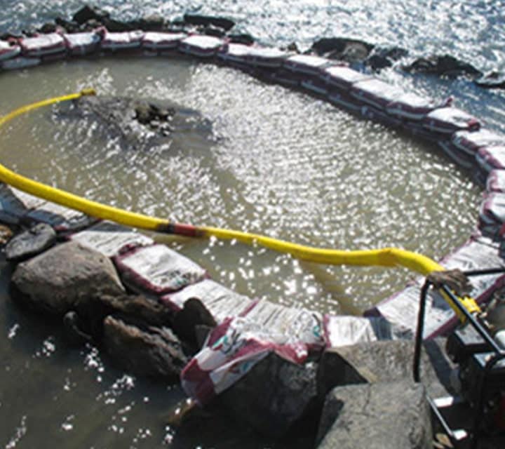 Excavation of the Plesiosaur underwater