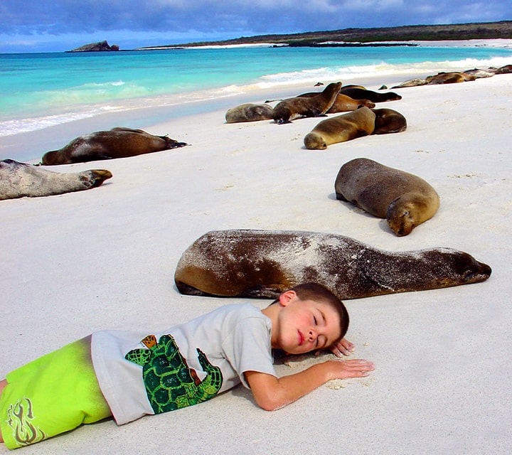 Boy resting with sea lions on a beach in the Galapagos