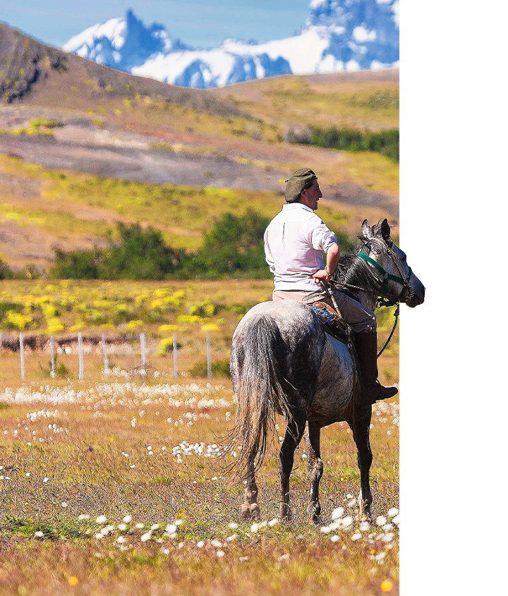 Gaucho taking in a moment while horseback riding in Patagonia