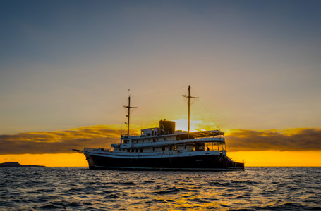 Galapagos Cruise Specials