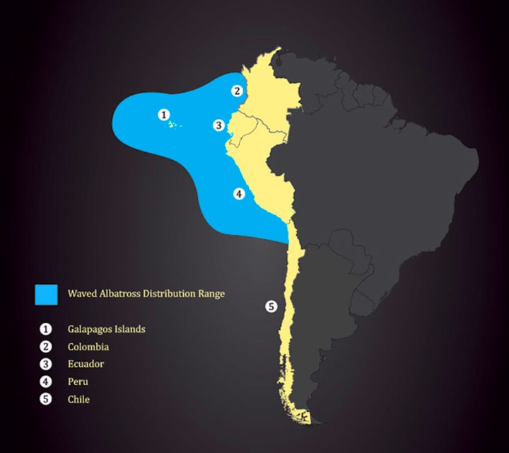 The South America map illustrating the Waved Albatross migration range