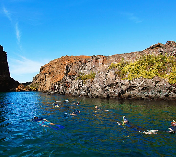 A group of snorkelers in a desolate cove in the Galapagos Islands