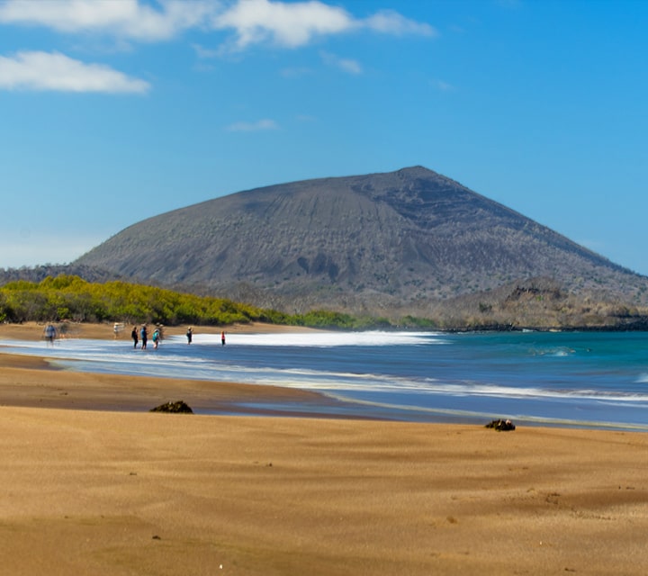 Travelers of a Galapagos cruise visit a desolate golden sand beach on a clear day