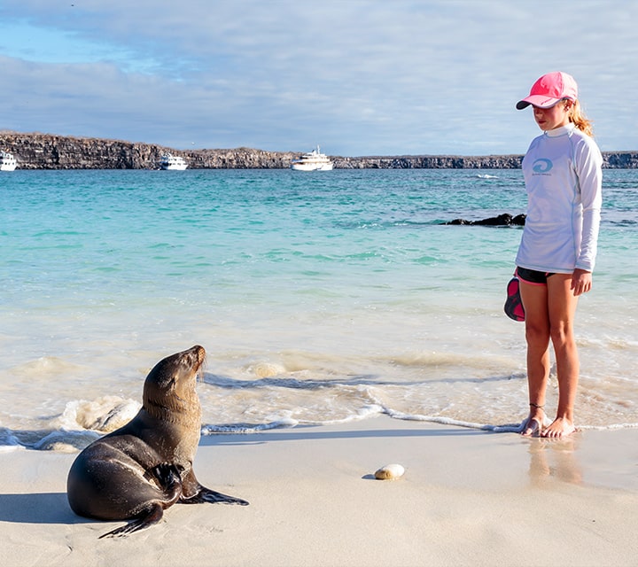 A girl wearing a wetsuit walking on the beach encounters baby sea lion, Galapagos Islands