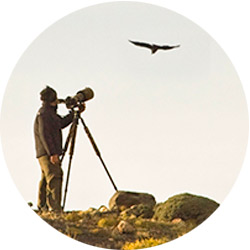 Patagonia Experience: Bird Watching