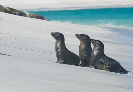 About Galapagos Islands