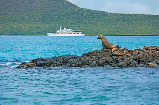 Luxury cruises in the Galapagos Islands