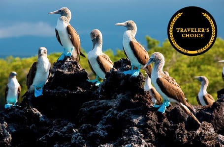 September in the Galapagos