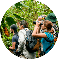 Guided jungle hikes at Mindo cloud Forest