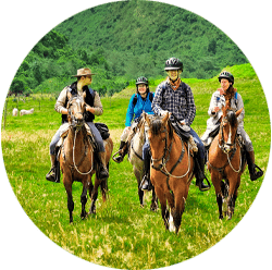 Horseback Riding in the Andes