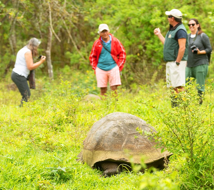 Galapagos Naturalist Guide educating guests about Giant Tortoises in the Galapagos