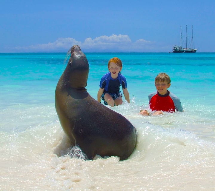 Children frolic next to a sea Lion on the beach while vacationing in the Galapagos