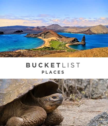 Bucketlist Places - A Galapagos Luxury Cruise Review