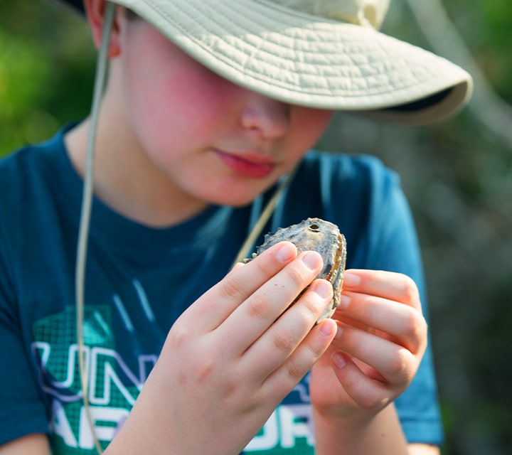 A boy wearing a sun protective hat holding and observing a piece of debris or mammal bone
