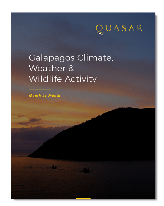 Galapagos Climate, Weather & Wildlife Activity