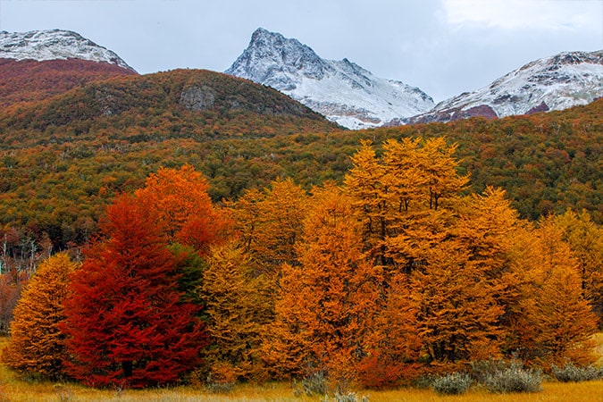 Bright colors of autumn and landscapes of the fall season in Patagonia